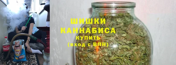амф Апатиты