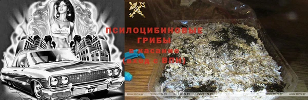 ешки Баксан
