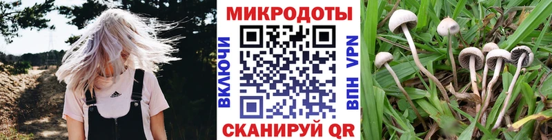 Псилоцибиновые грибы мицелий  МЕГА вход  Соль-Илецк 